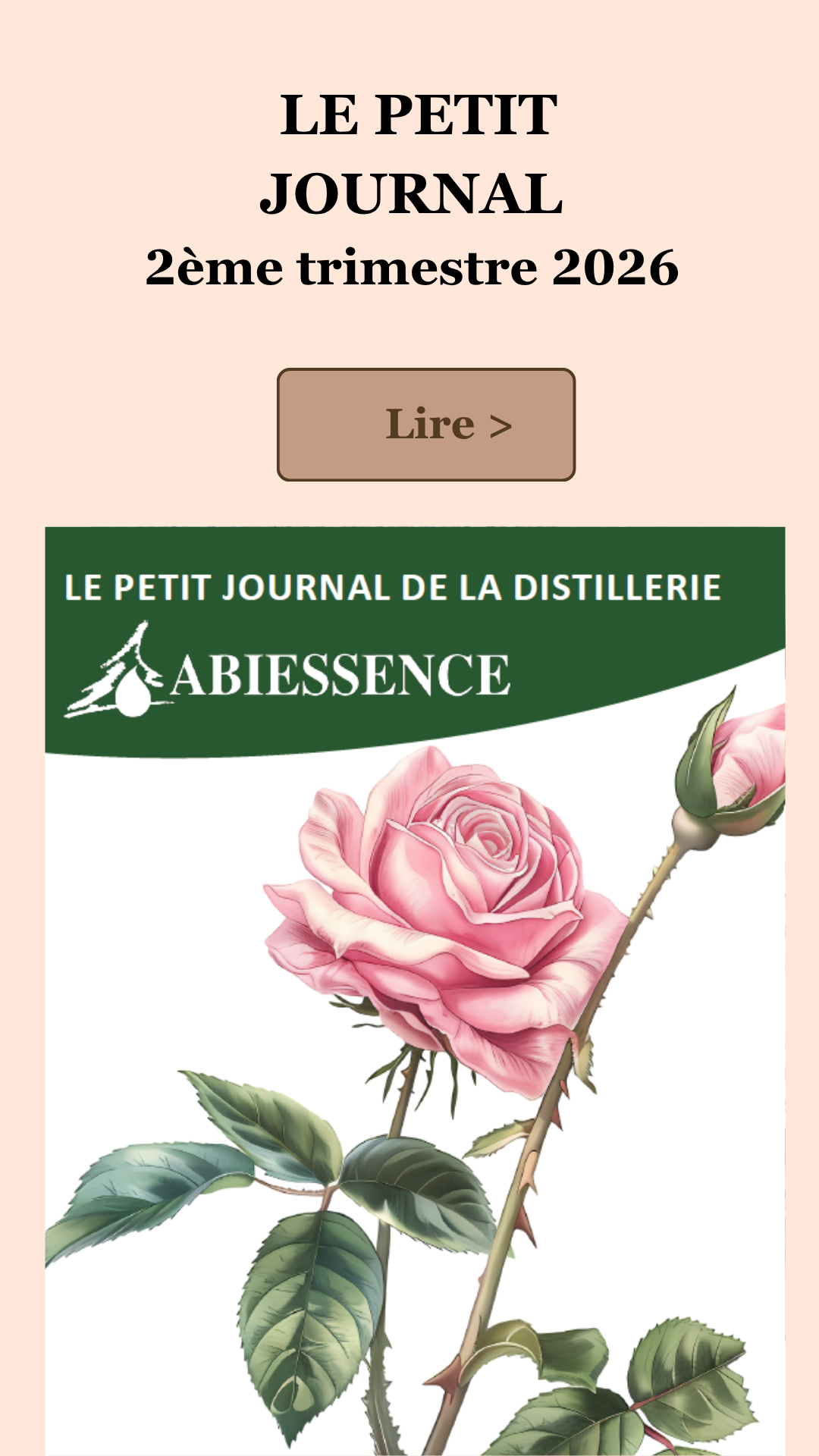 PETIT JOURNAL 4T2025